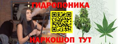 шишки Бугуруслан