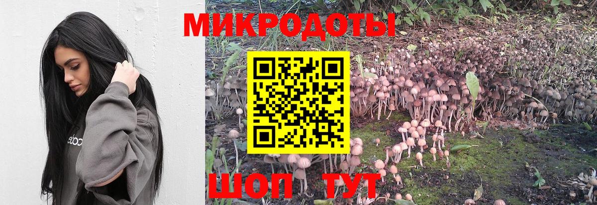 Псилоцибиновые грибы мухоморы Мариинск